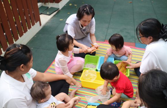 Our Activities