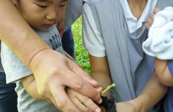 Our Activities
